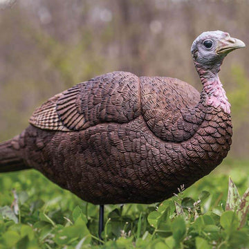 PRIMOS Lil Gobbstopper Hen head posture enhances natural turkey behavior
