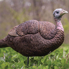 PRIMOS Lil Gobbstopper Hen head posture enhances natural turkey behavior