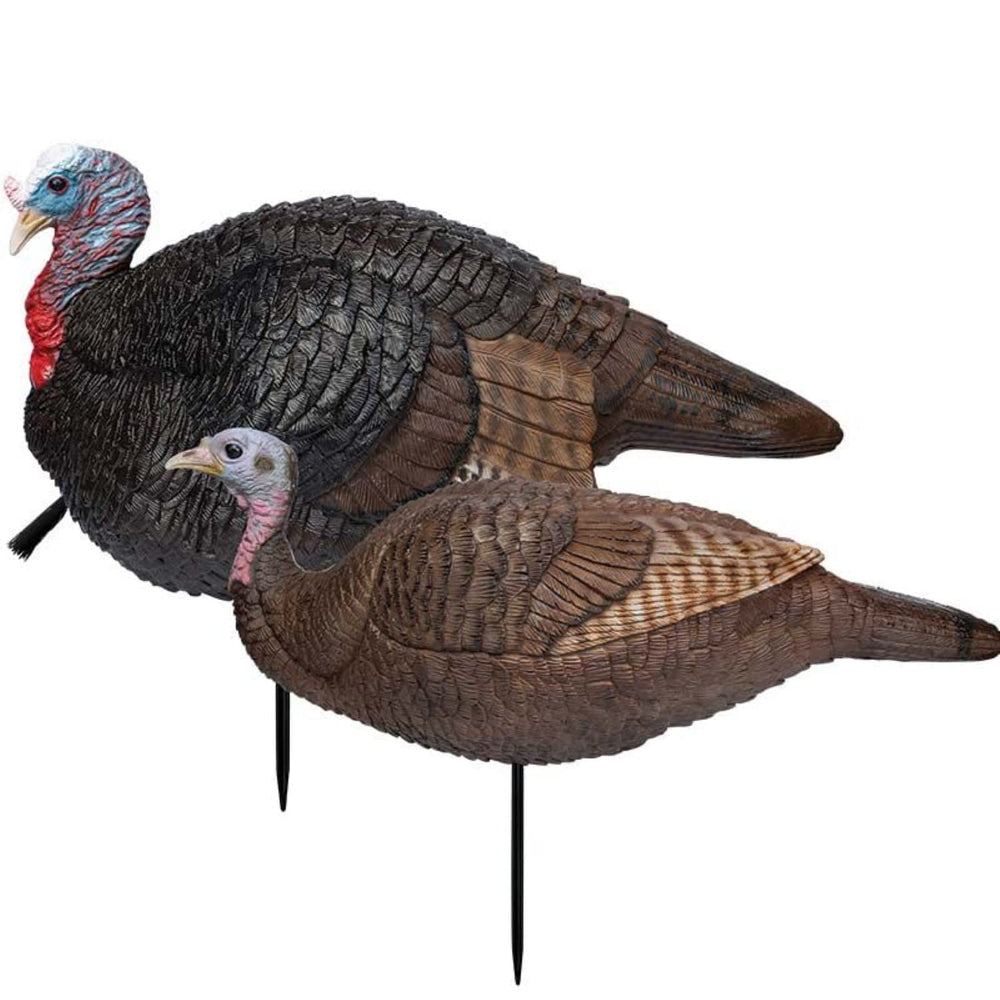 Primos Lil Gobstopper Hen and Jake Combo Decoy in field pose