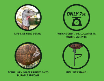 PRIMOS Photoform Leading Hen shows 3D imagery detail for lifelike turkey reactions.