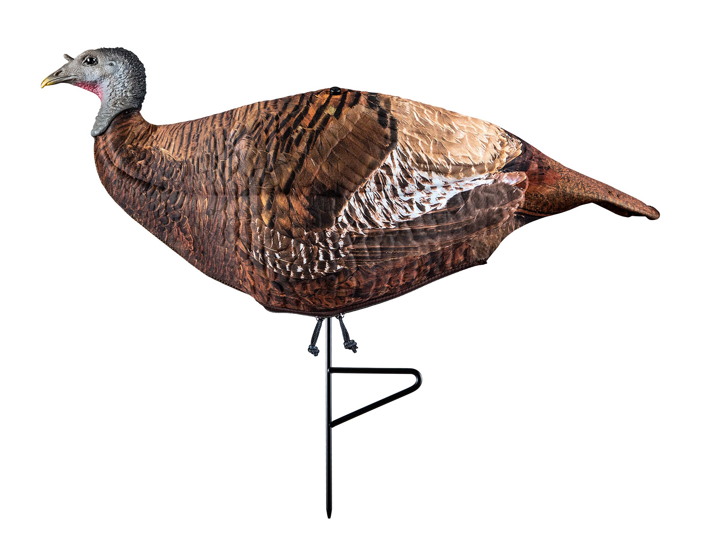 PRIMOS Photoform Leading Hen decoy on 3D foam for ultra-realistic turkey intrigue.