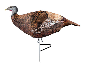 PRIMOS Photoform Leading Hen decoy on 3D foam for ultra-realistic turkey intrigue.
