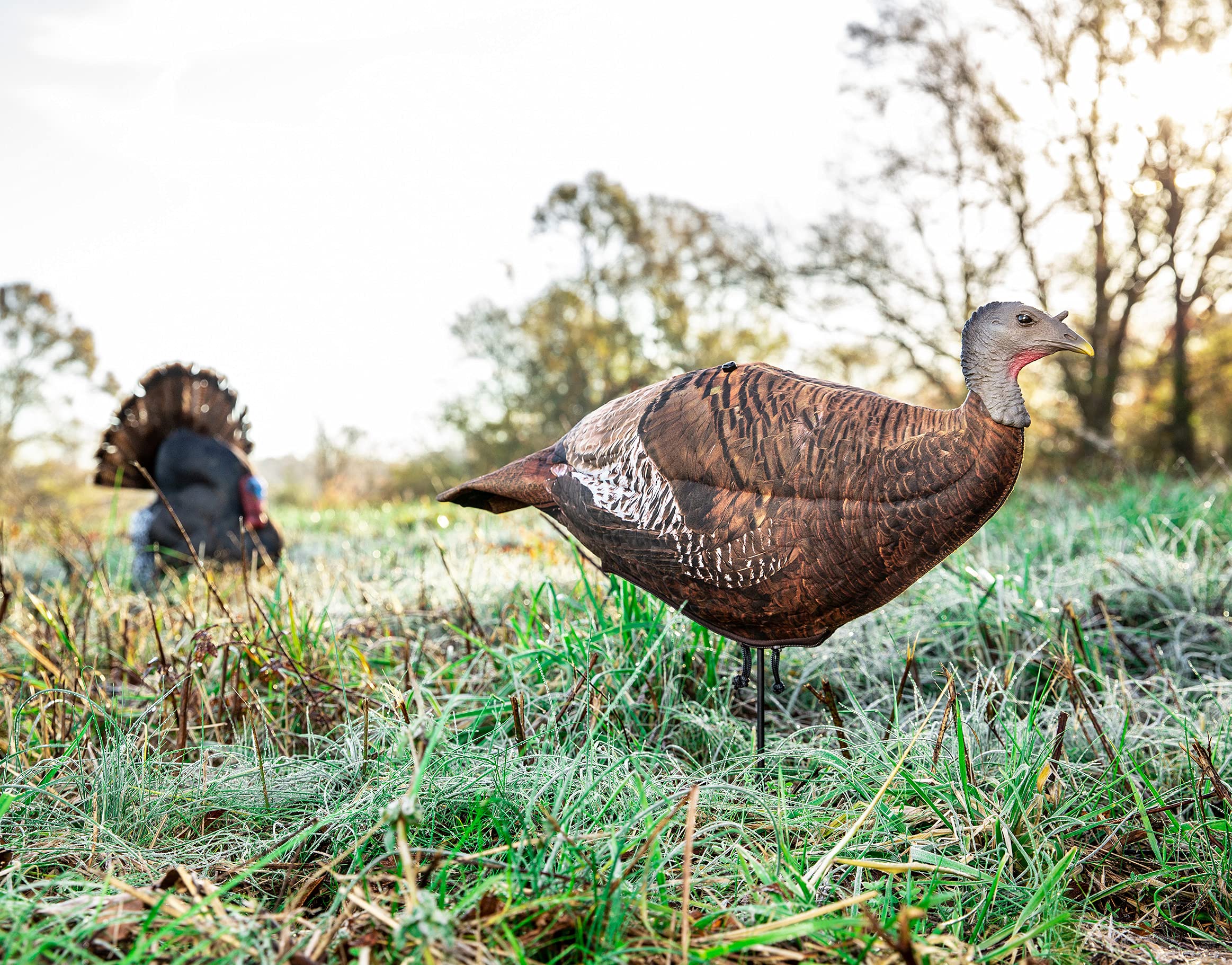 PRIMOS Photoform Leading Hen includes ground stake for stable setup in varied terrain.