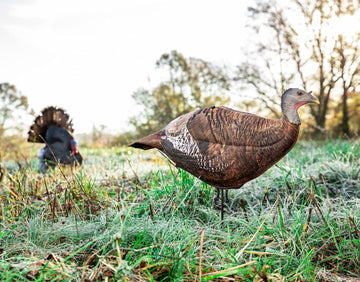 PRIMOS Photoform Leading Hen includes ground stake for stable setup in varied terrain.