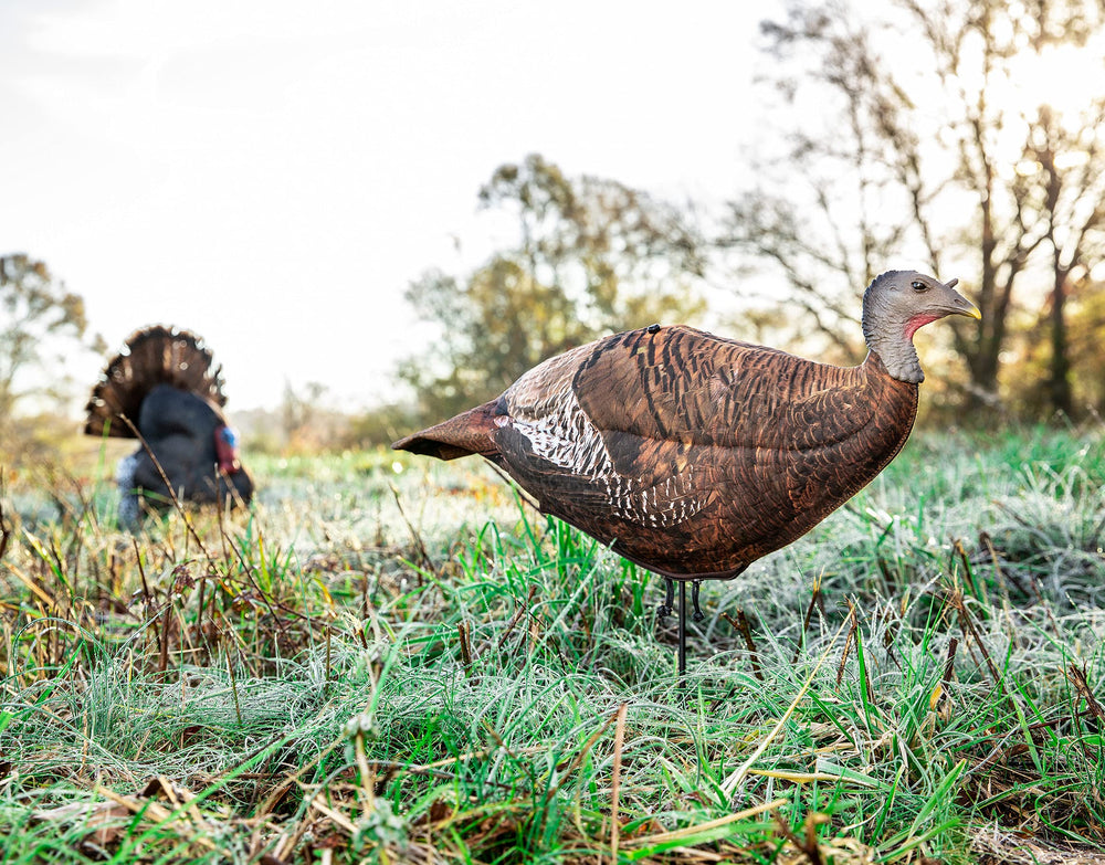 PRIMOS Photoform Leading Hen includes ground stake for stable setup in varied terrain.