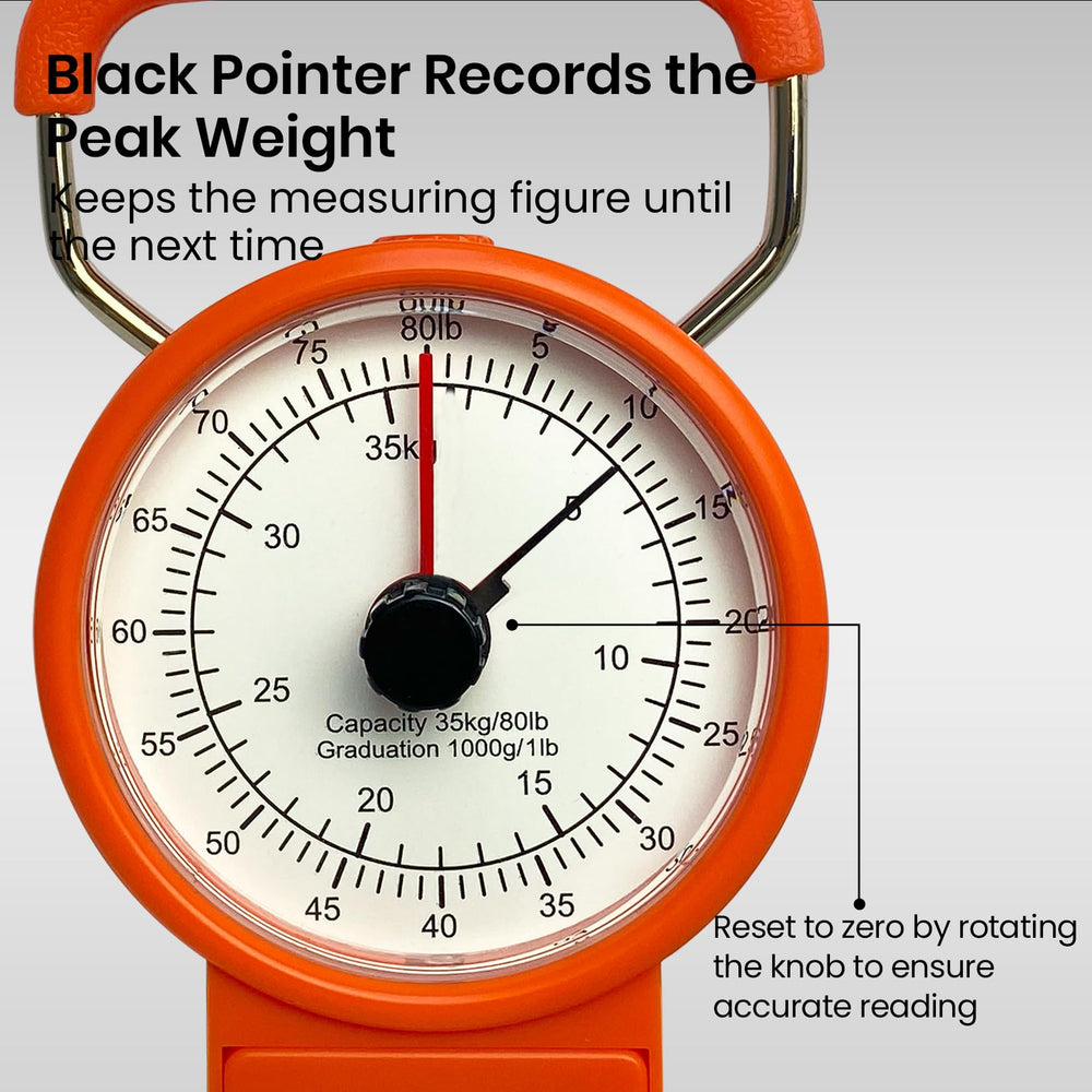 Close-up of red weight pointer on Pristis hanging scale