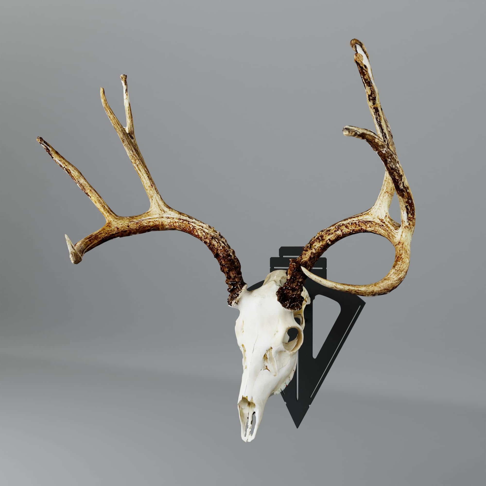 Prized Possessions Modern Trophy Display elevates trophy visibility in a contemporary space.