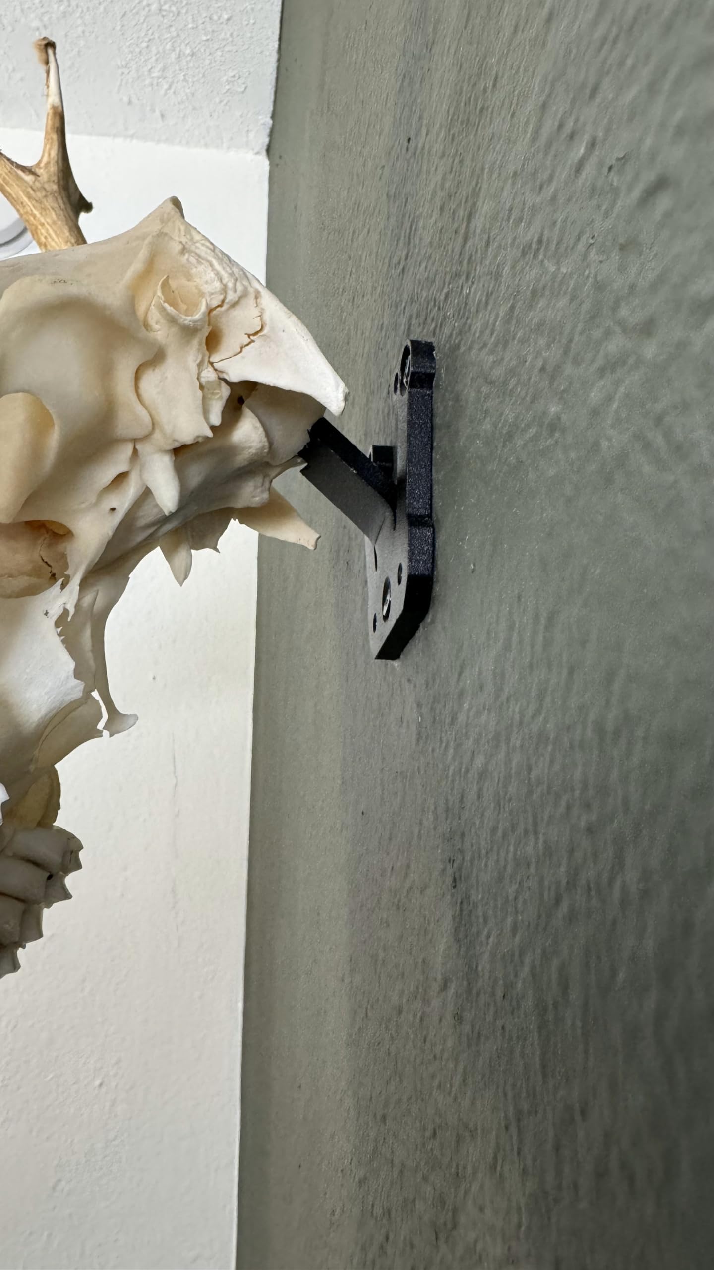 Prized Possessions secure wall mount system offers peace of mind for displays.