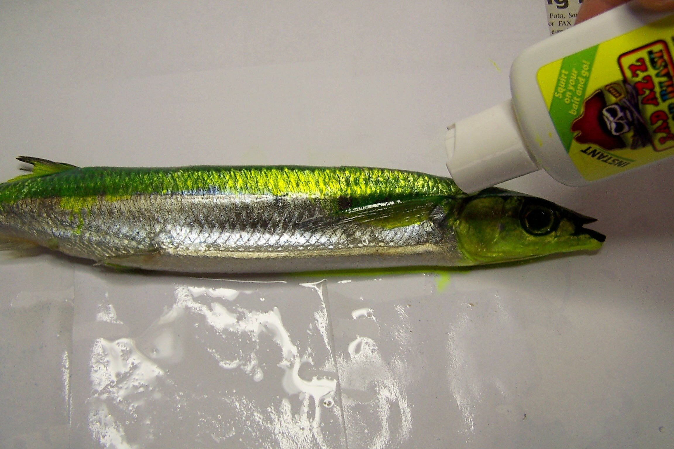 Close-up of 2 oz squirt bottle with Color Blast dye