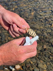Pro-Cure Baitwaxx coating on metal lures enhances adhesion and long-lasting scent.