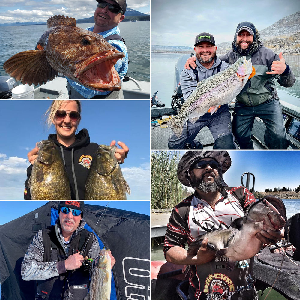Pro-Cure Predator Bait Oil label highlights ingredients and UV flash for brighter bites