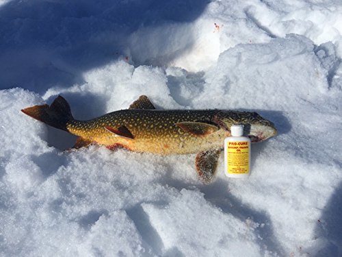 Marination action with Pro-Cure oil infuses flavor into lures for improved bite triggers.
