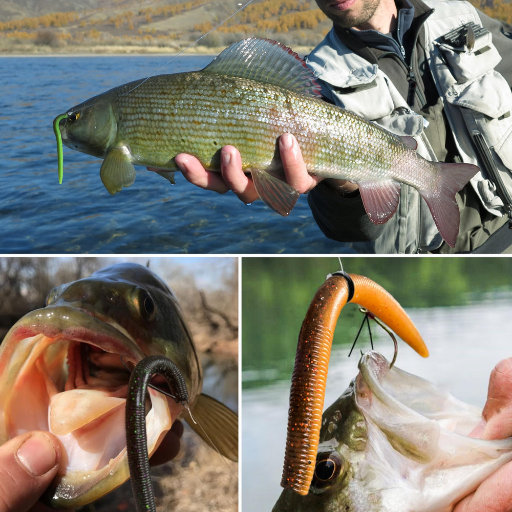 PROBITE Soft Worm gift-ready packaging ideal for anglers' holidays.