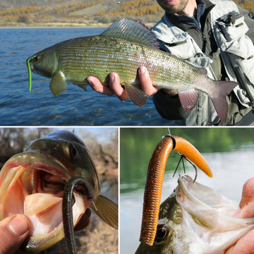 PROBITE soft worm rigging ideas showcase easy setups for beginners