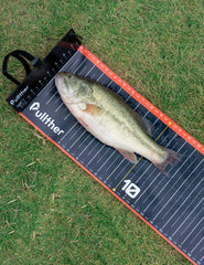 User-friendly design with easy-to-read markings in low light