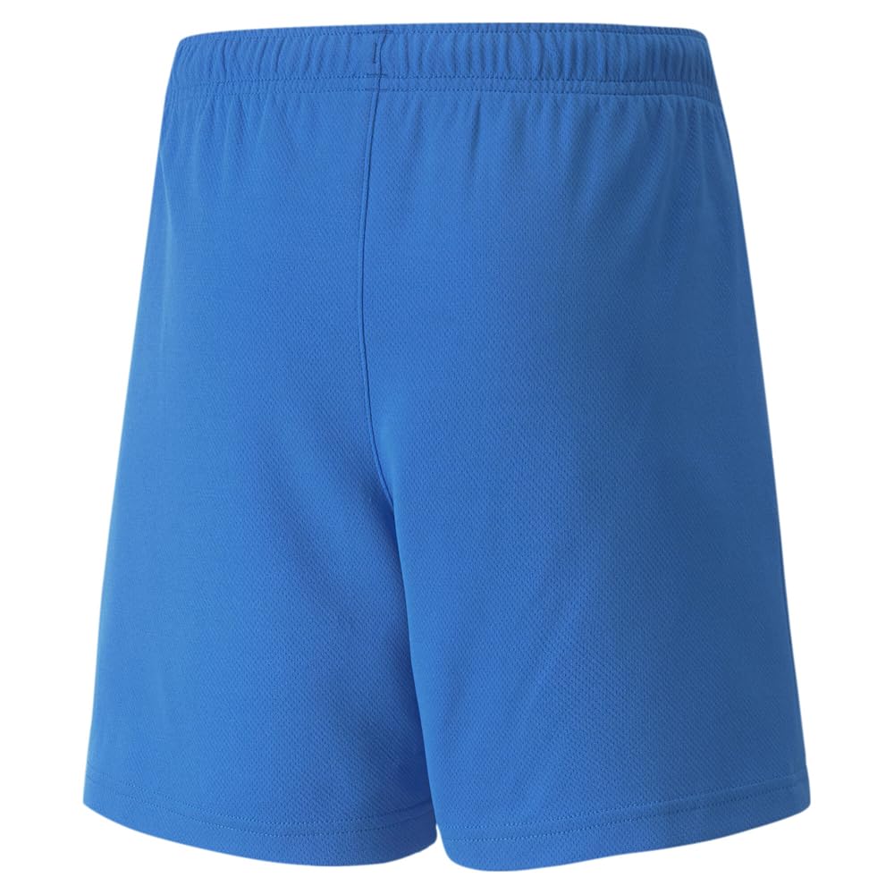 PUMA Youth Team Rise Shorts blue, back view, durable day-to-day wear