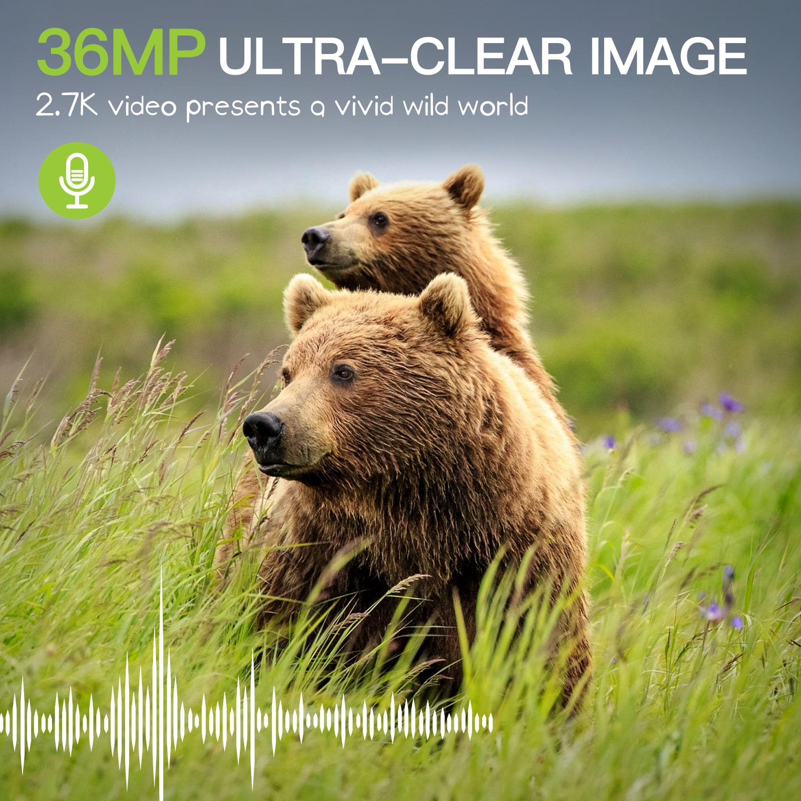 Punvoe trail camera showing 130-degree wide-angle coverage for broad monitoring