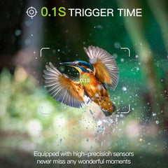 Punvoe trail camera capturing fast action with 0.2s trigger speed