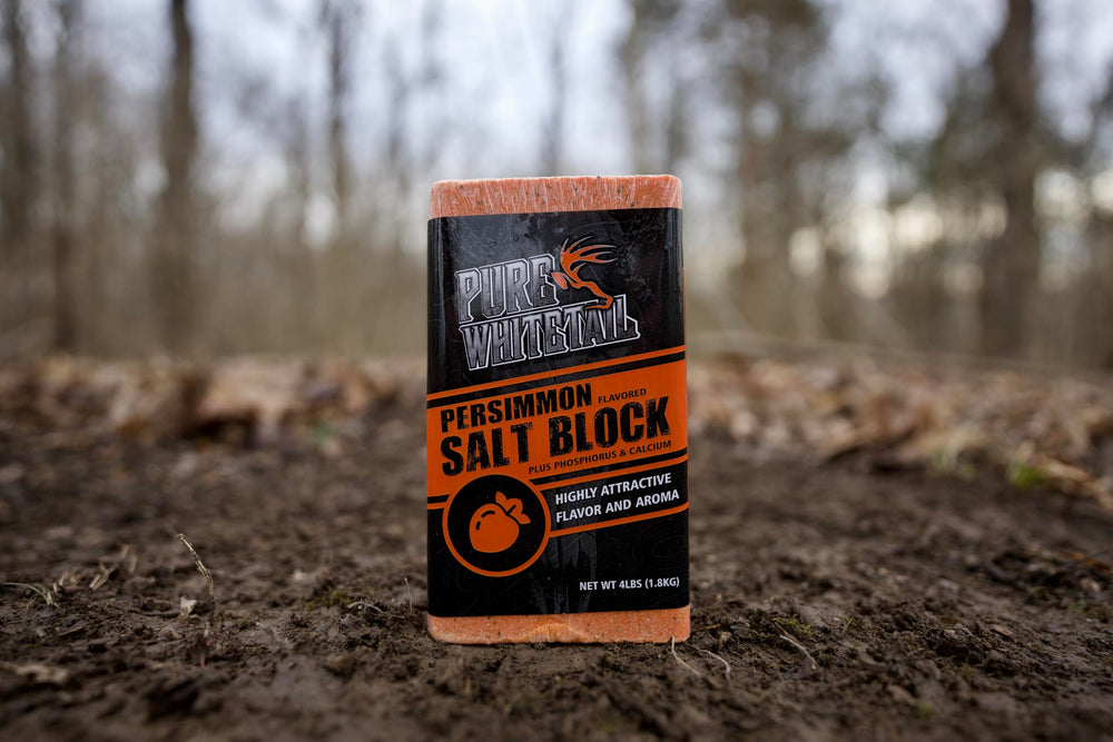 Close-up texture of persimmon salt block highlights rugged, ready-to-use design.