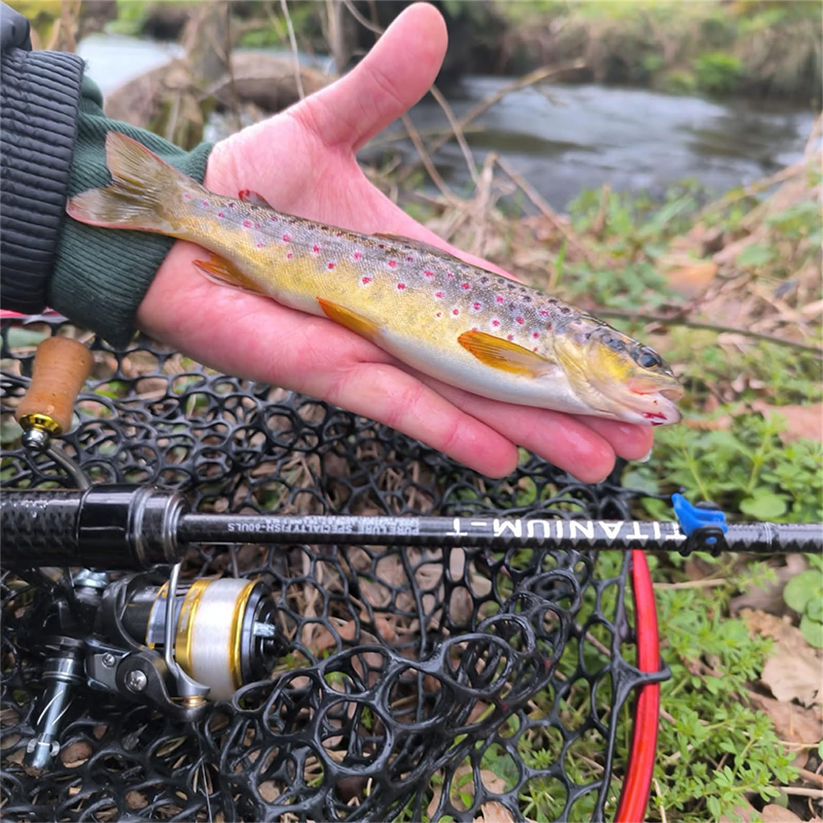 PureLure trout rod length options suited for trout, panfish, and bass setups