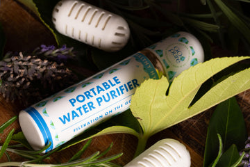 PURIBLOC GOpure pack-of-2 pod filters ideal for camping and travel.