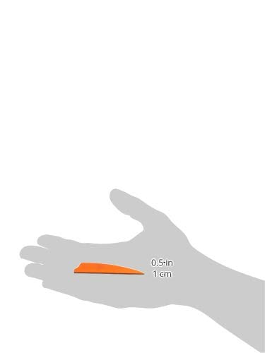 Q2i Fusion X-II shield-cut vanes emphasize durability and reduced drag for stable arcs.