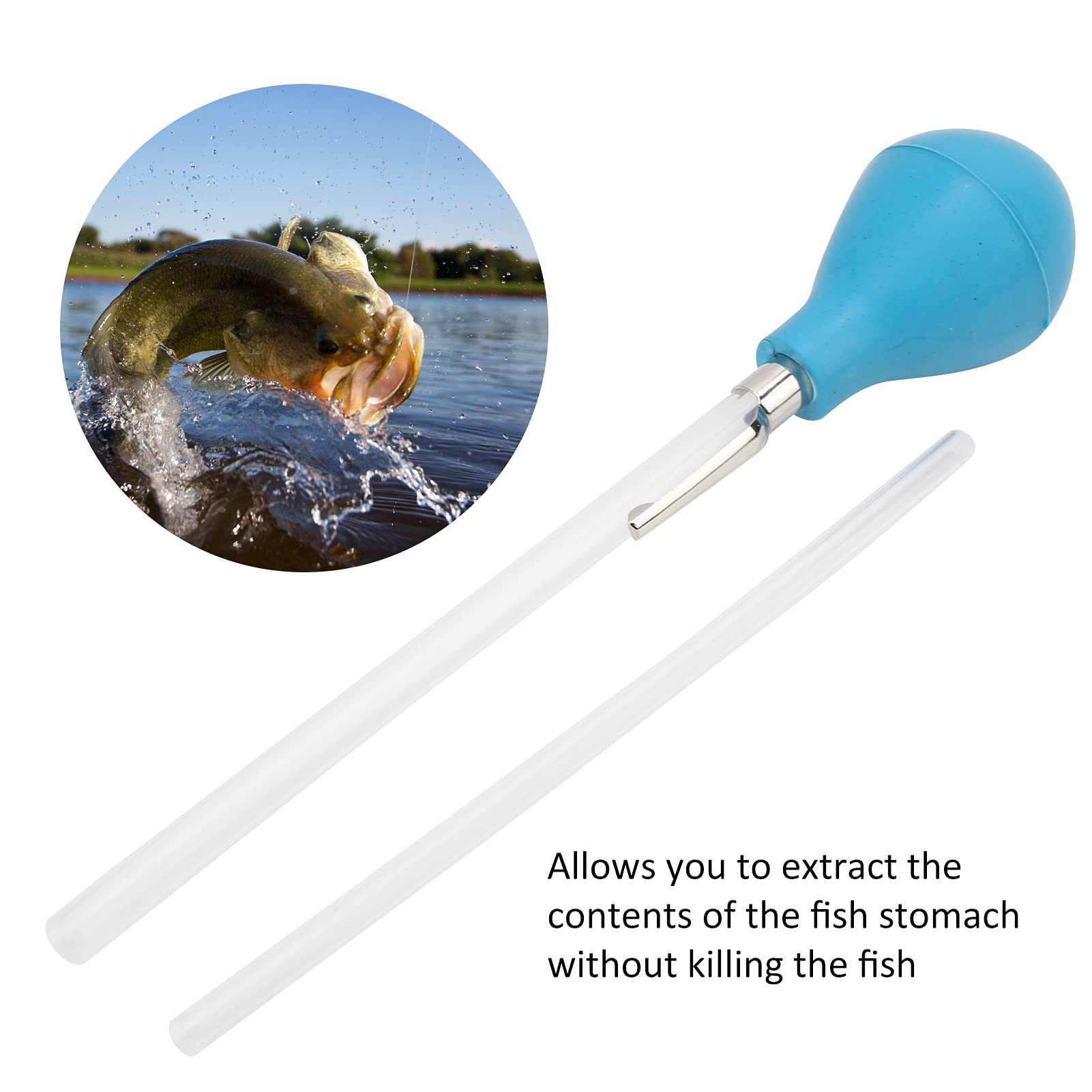 Qiilu thin tube in action for careful stomach sampling.