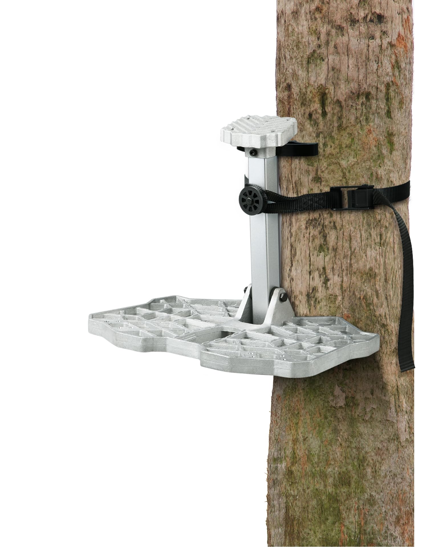 QOGIR fully adjustable silent platform in active tree saddle use