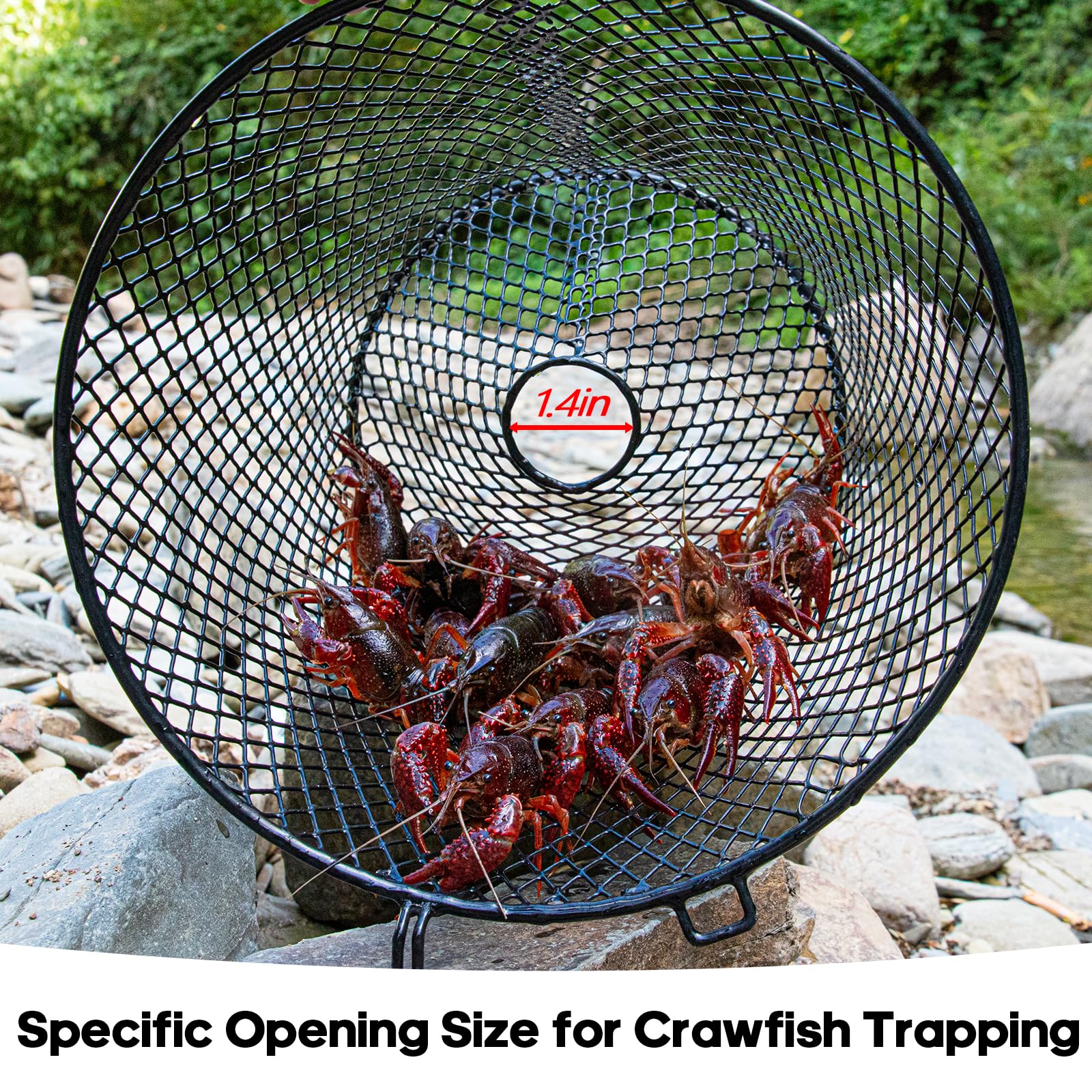 Close-up of vinyl-coated steel crawfish trap for corrosion resistance