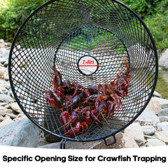 Close-up of vinyl-coated steel crawfish trap for corrosion resistance
