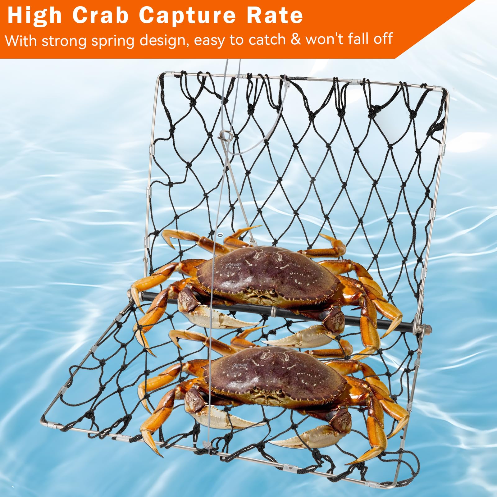 Suitable for blue crabs, Dungeness and crawfish