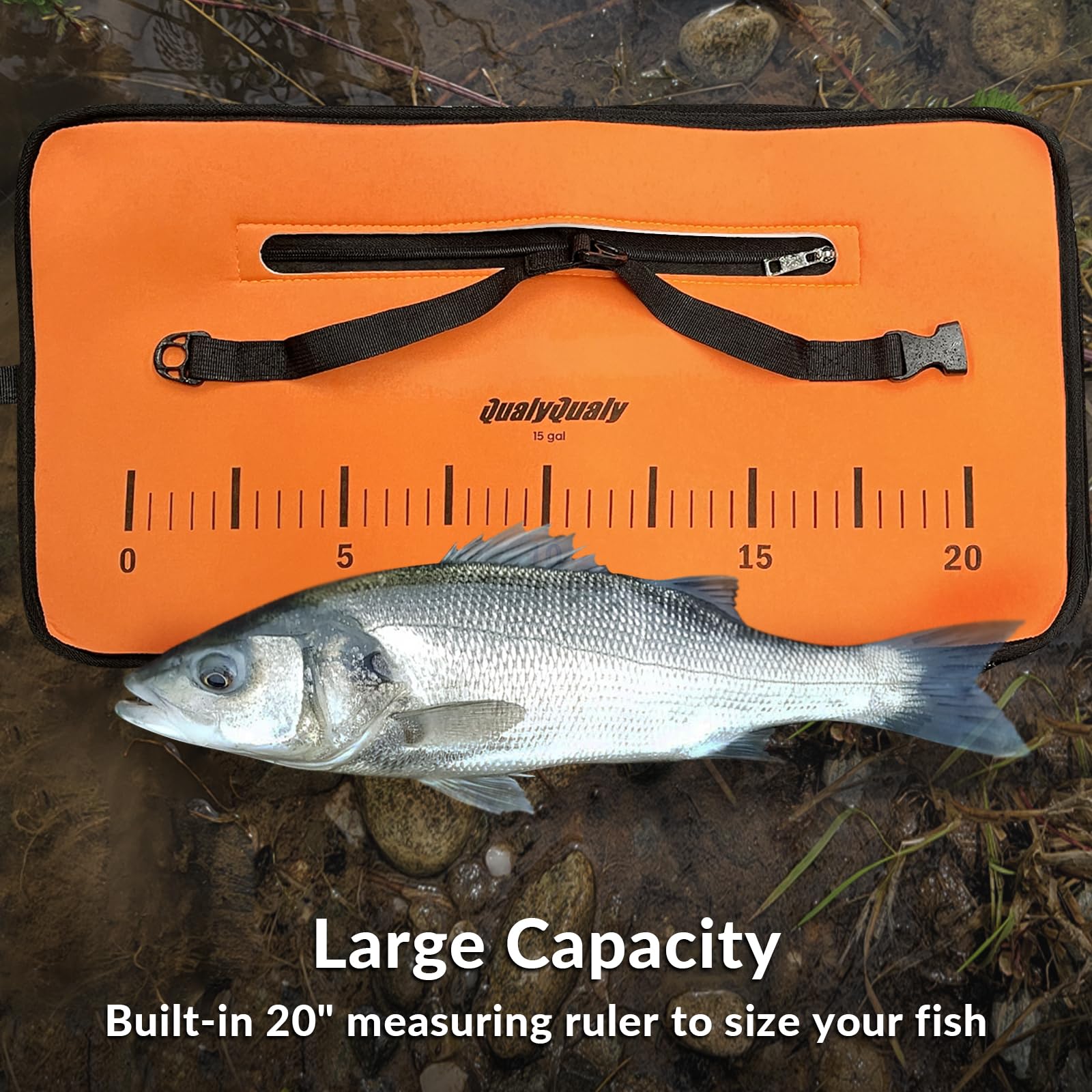 QualyQualy Live well in use demonstrates fish-friendly coating and safe handling.