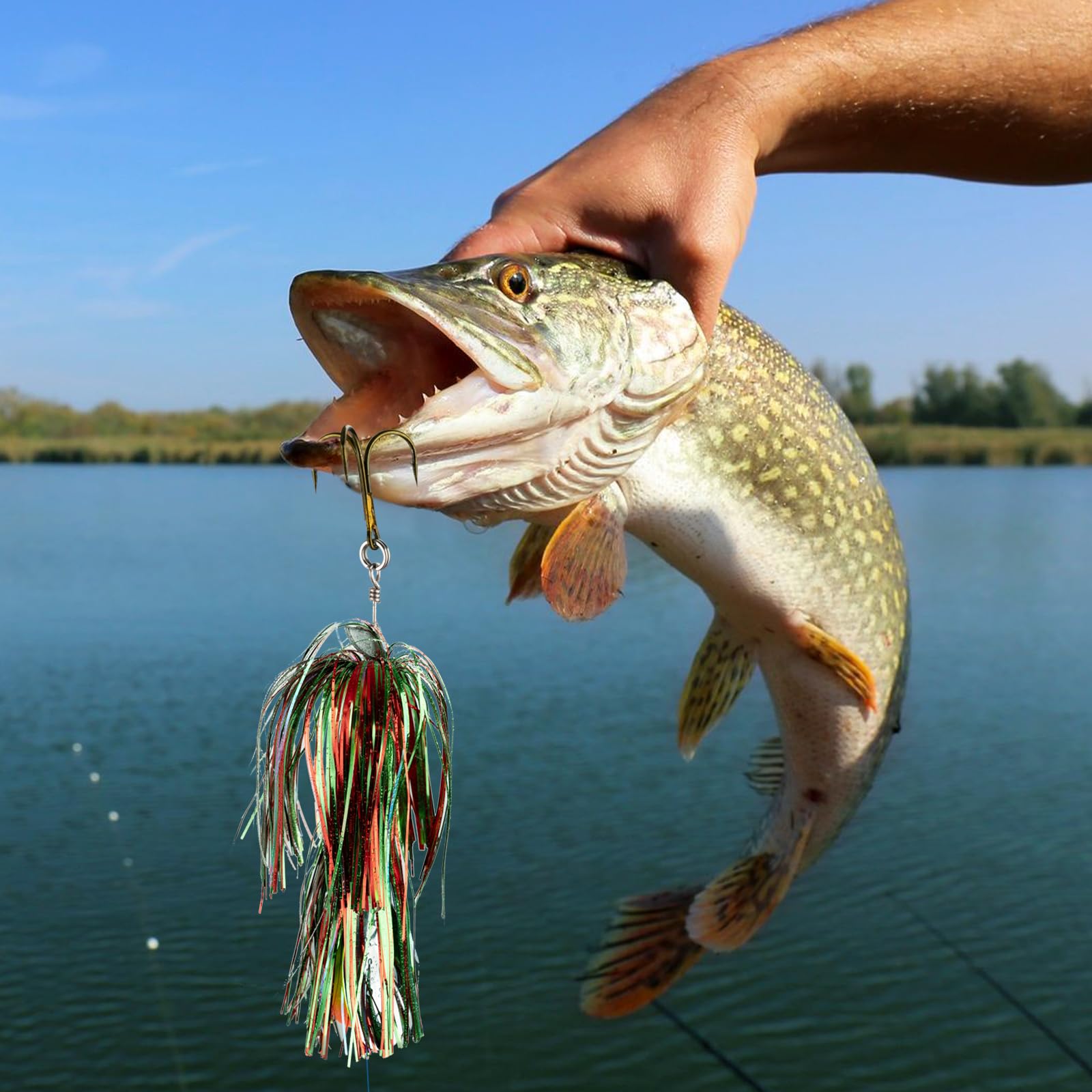 QualyQualy spinner bait in action casting and reeling mimics prey.