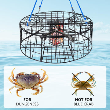 QualyQualy vinyl-coated steel wire delivers durability in rugged coastal use