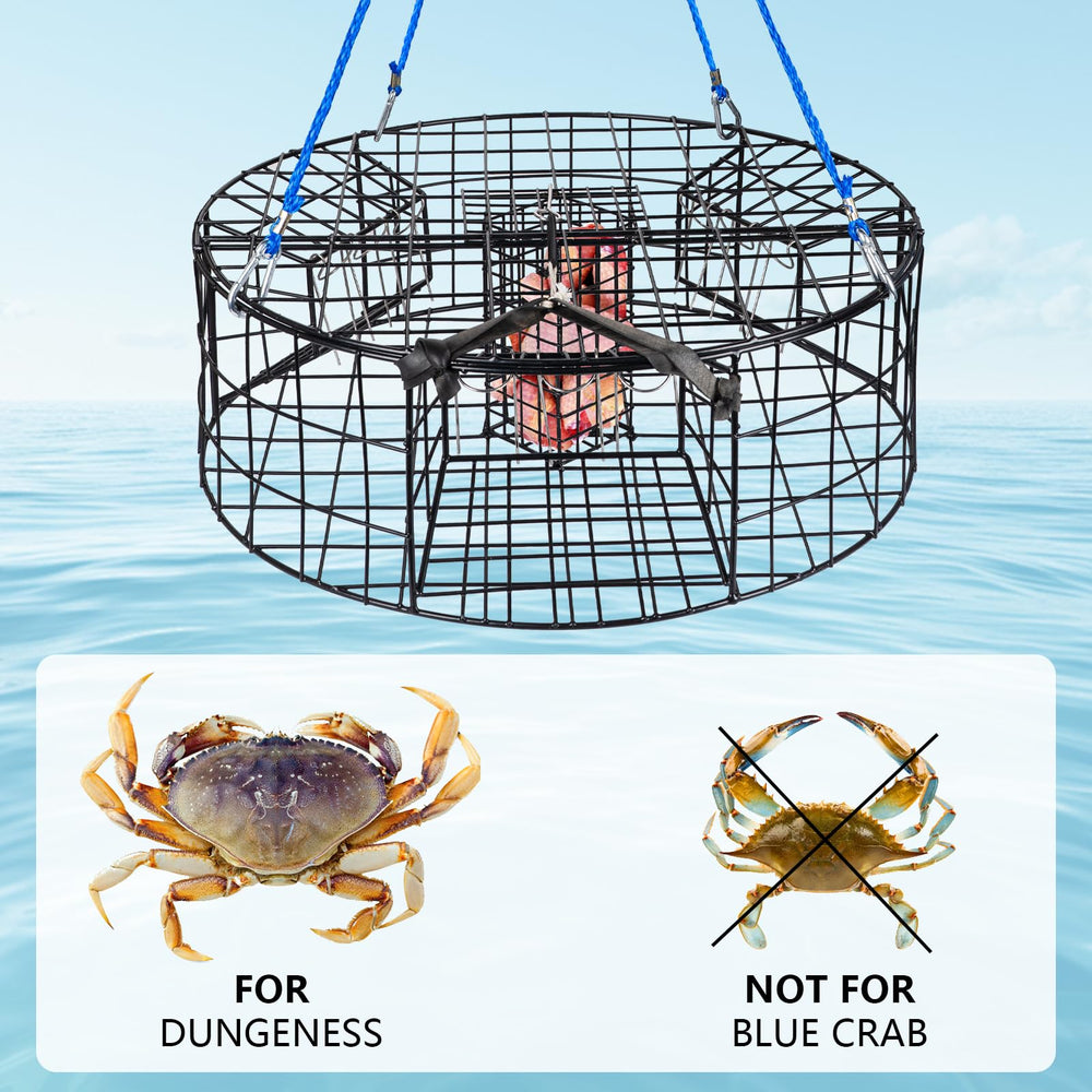 West Coast Dungeness crabbing kit display