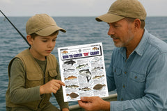 Illustrations for quick reference of saltwater fish identification