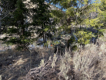 QuikCamo Durable Leafy Suit stands up to rugged terrain and varied woods.