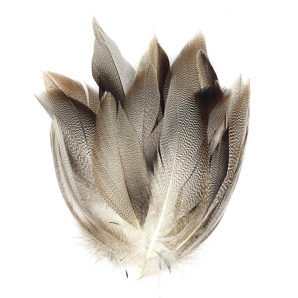 Quintathletic spotted duck feathers pack close-up for lifelike wing and tail detail.