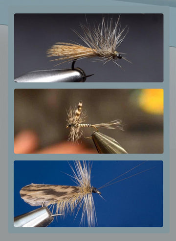 Quintathletic spotted duck feathers spread for wings and tails in fly tying.