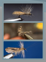 Quintathletic spotted duck feathers spread for wings and tails in fly tying.