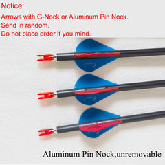 QunYing 12 arrows pack with value and practice-ready design