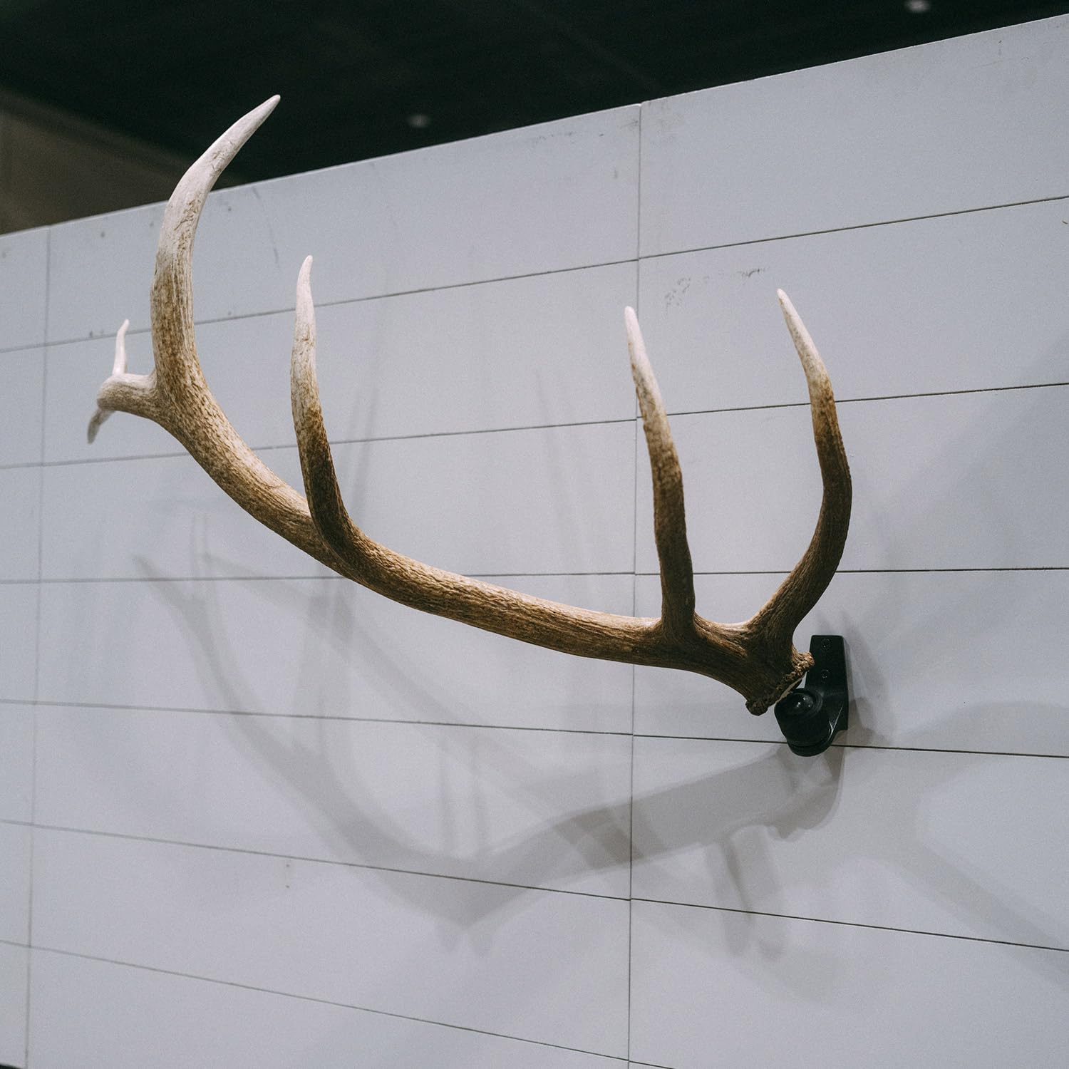 RH1 XL-360-degree-rotation enables precise positioning of large antlers.