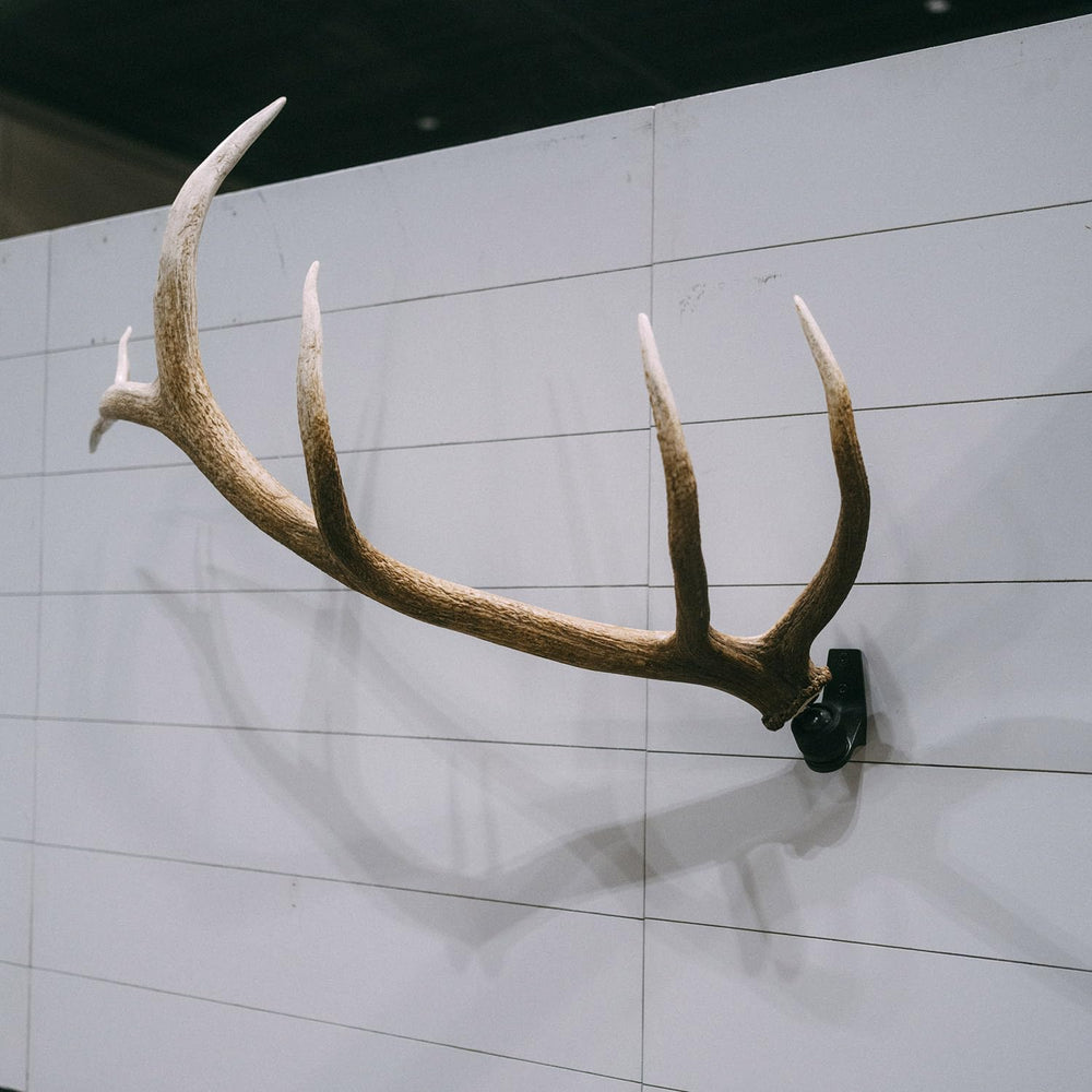 RH1 XL-360-degree-rotation enables precise positioning of large antlers.