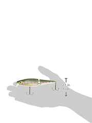 Rapala BX Balsa Xtreme Swimmer rainbow trout color emphasizes vivid patterning for realistic presentations.