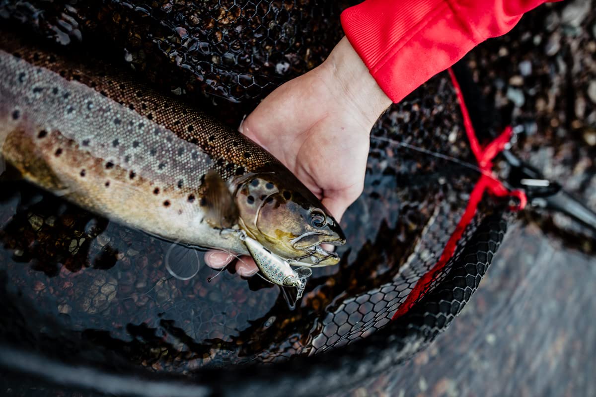 Rapala Countdown Elite 55 depth-control lure enabling precise sinking and targeted depths.