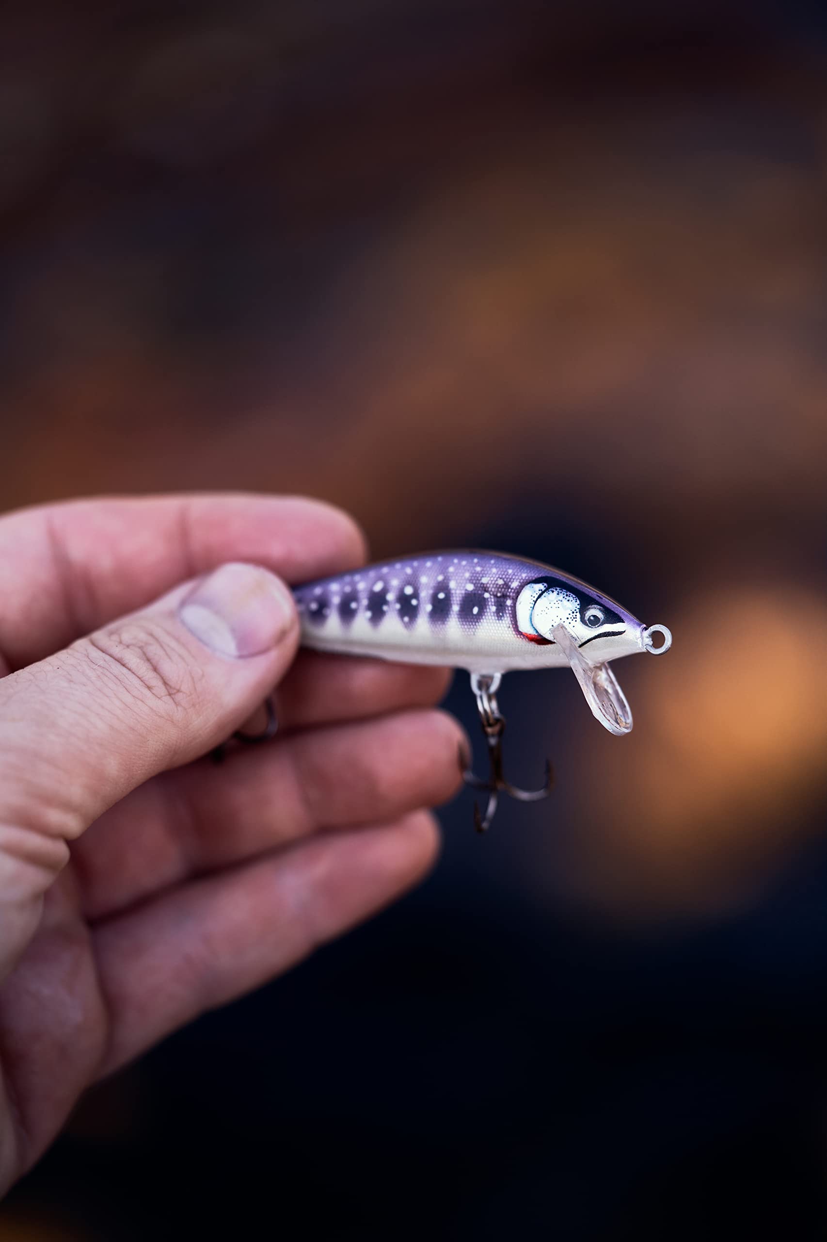 Rapala Countdown Elite 55 Gilded Iwana natural-profile: lifelike baitfish silhouette for clear water.
