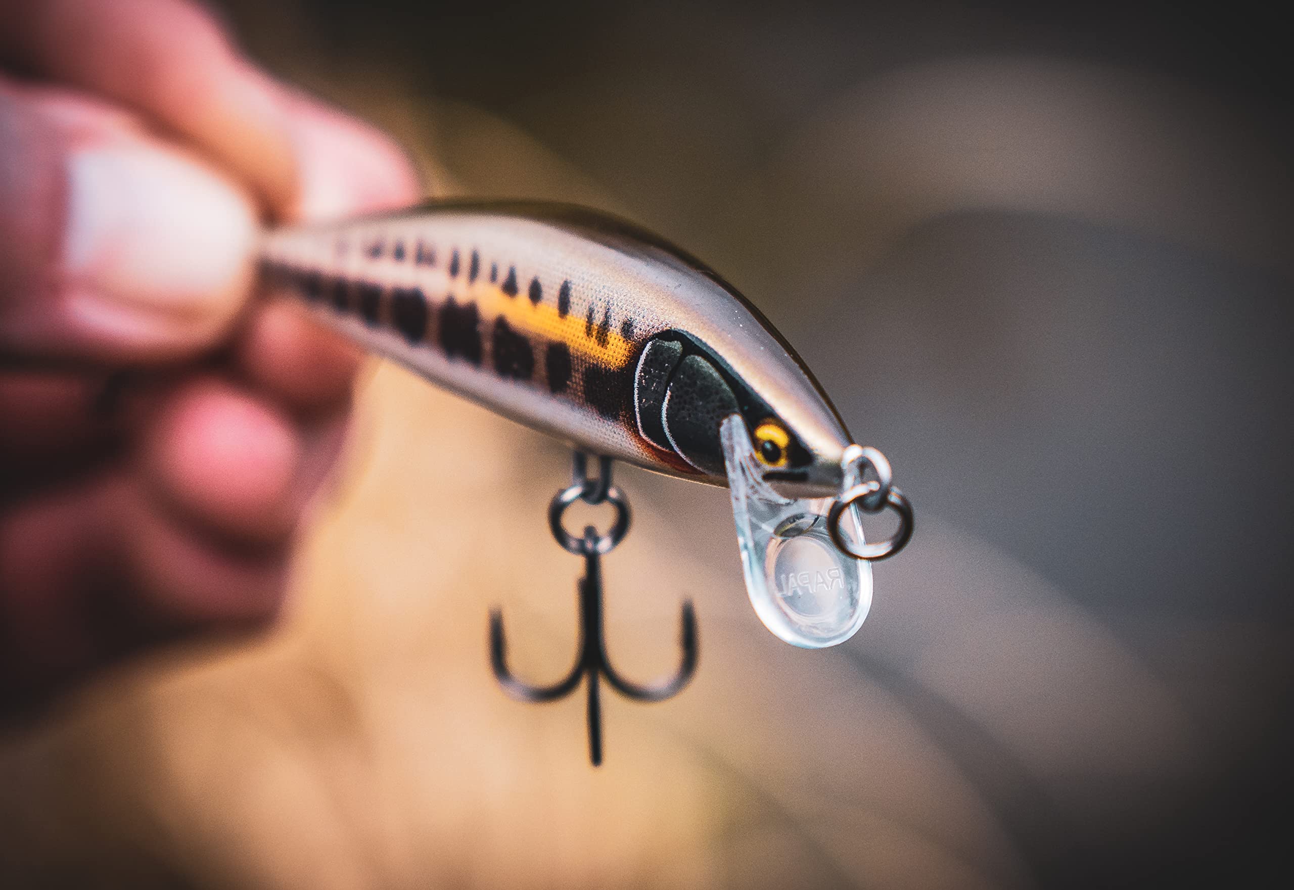 Rapala Countdown Elite 55 Gilded Minnow in water demonstrating depth-friendly action.