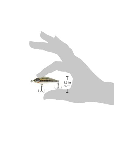 Rapala Countdown Elite 55 Gilded Minnow action shot emphasizing gilded finish.