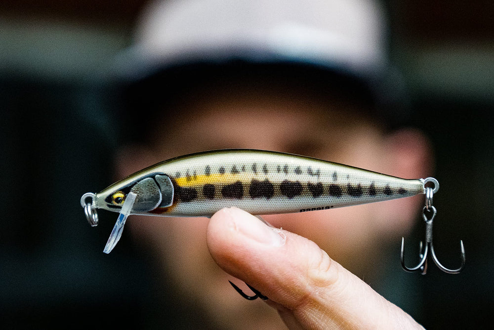 Rapala Countdown Elite 55 Gilded Minnow close-up packaging highlighting lure colors.