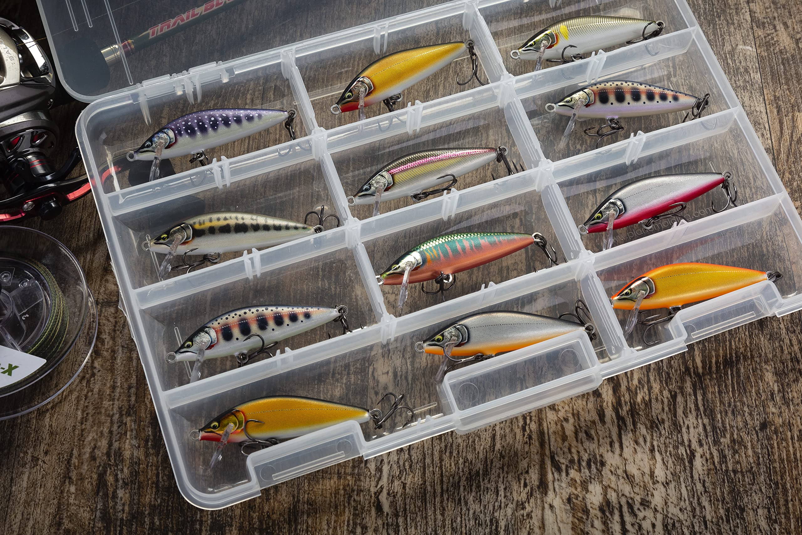 Rapala Countdown Elite 55 Gilded Silver Shad in-hand ready to cast